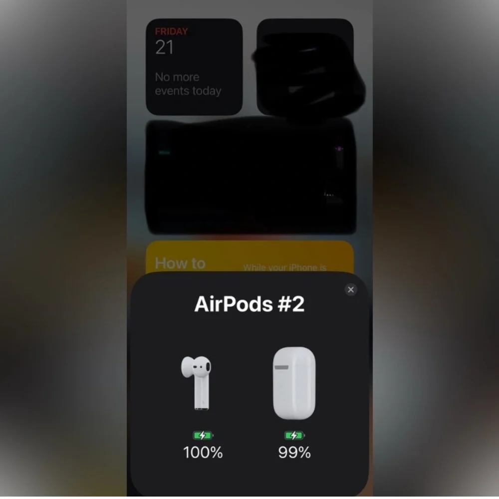 Apple White Earbuds with Compact Charging Case